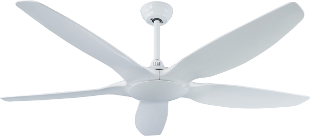 1548056842-ECO-018 COSMOS WHITE