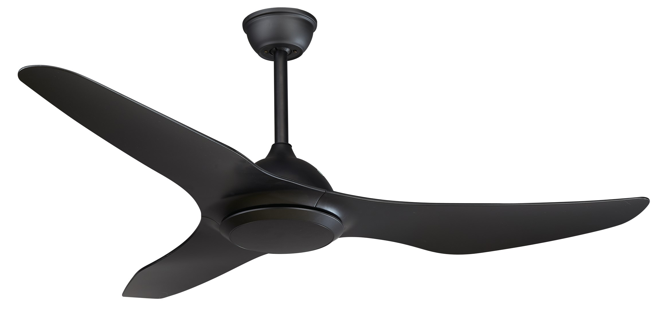 1577351394-ANEMON BLACK