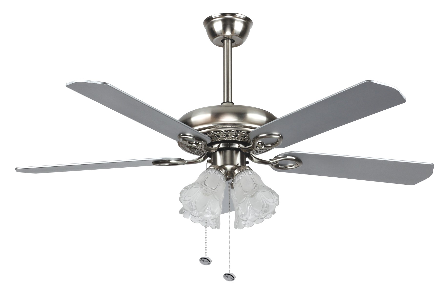 1577351632-PAKIS SILVER