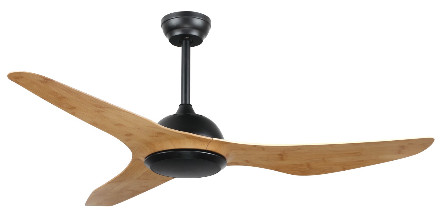 1577352511-ANEMON BAMBOO