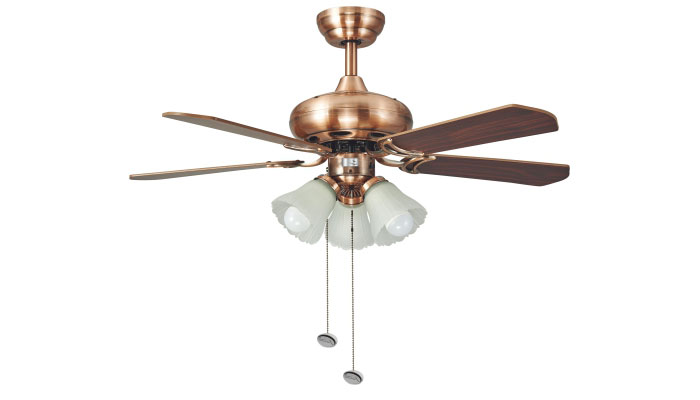 ECO-032-AMMI-ROSEWOOD