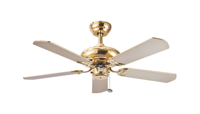 ECO-033-WISTERIA-GOLD