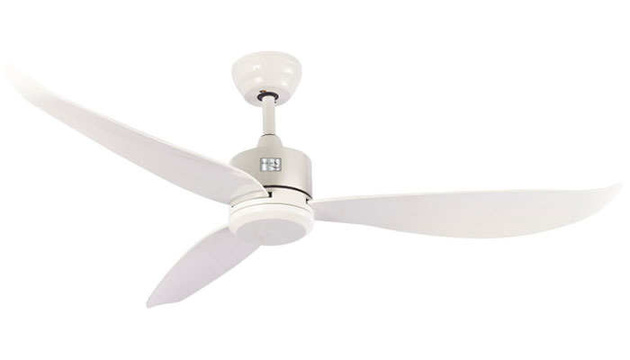 ECO-050-DAHLIA-WHITE