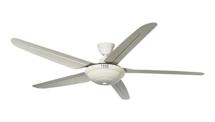 ECO-051-KAMBOJA-WHITE