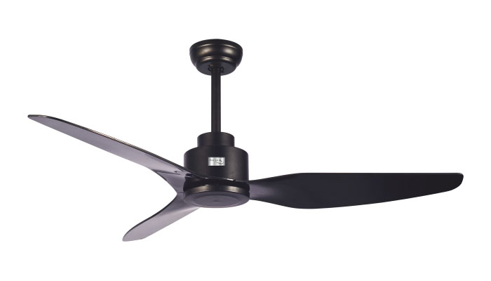 ECO-054-BEGONIA-BLACK