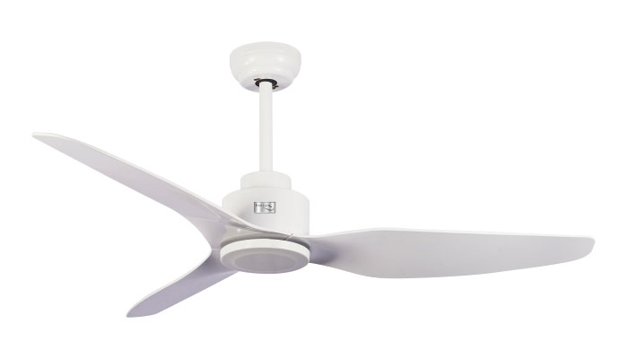 ECO-054-BEGONIA-WHITE