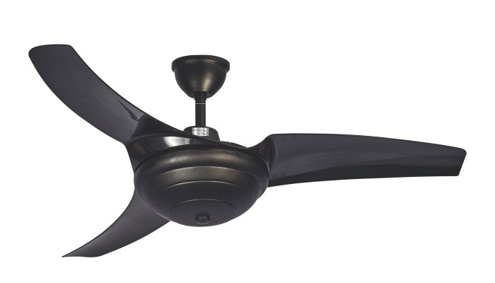 ECO-061-CAMELIA-BLACK