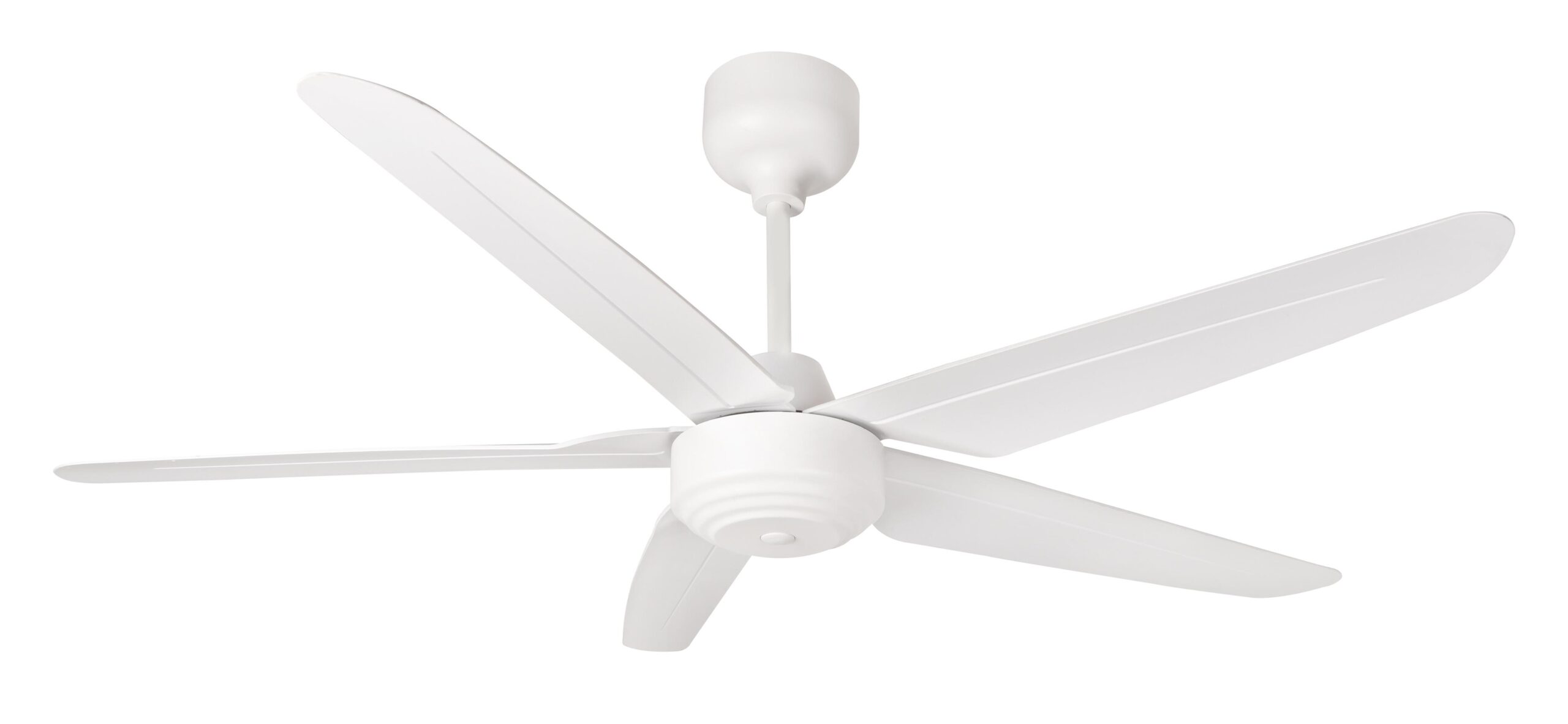 CF ZIN 5BLADE WH